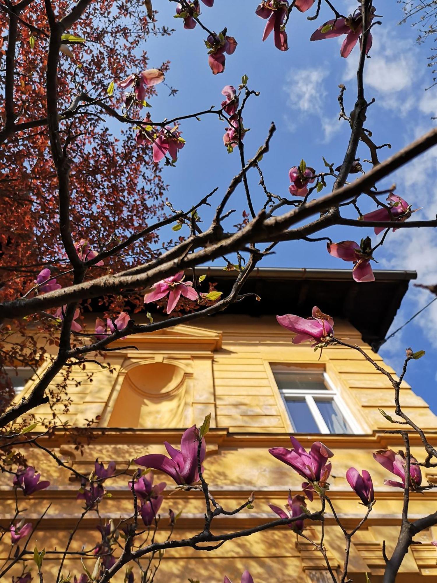 The Villa, Ljubljana City Center Buitenkant foto